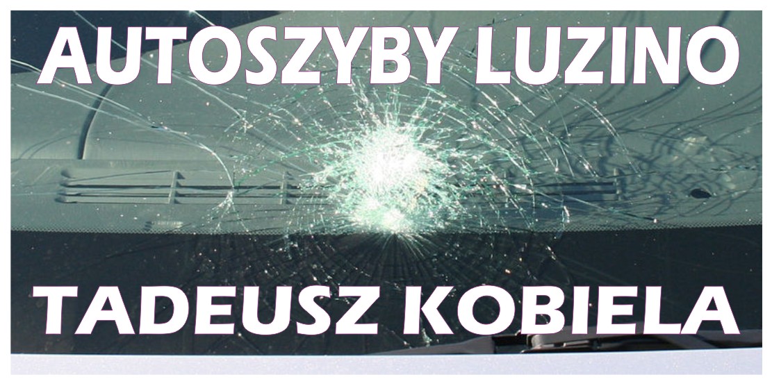 Auto szyby samochodowe Luzino - sprzeda� i monta�. Firma oferuje kompleksowe us�ugi - monta� szyb, wymiana szyb, naprawa szyb, przyciemnianie szyb, autoszyby